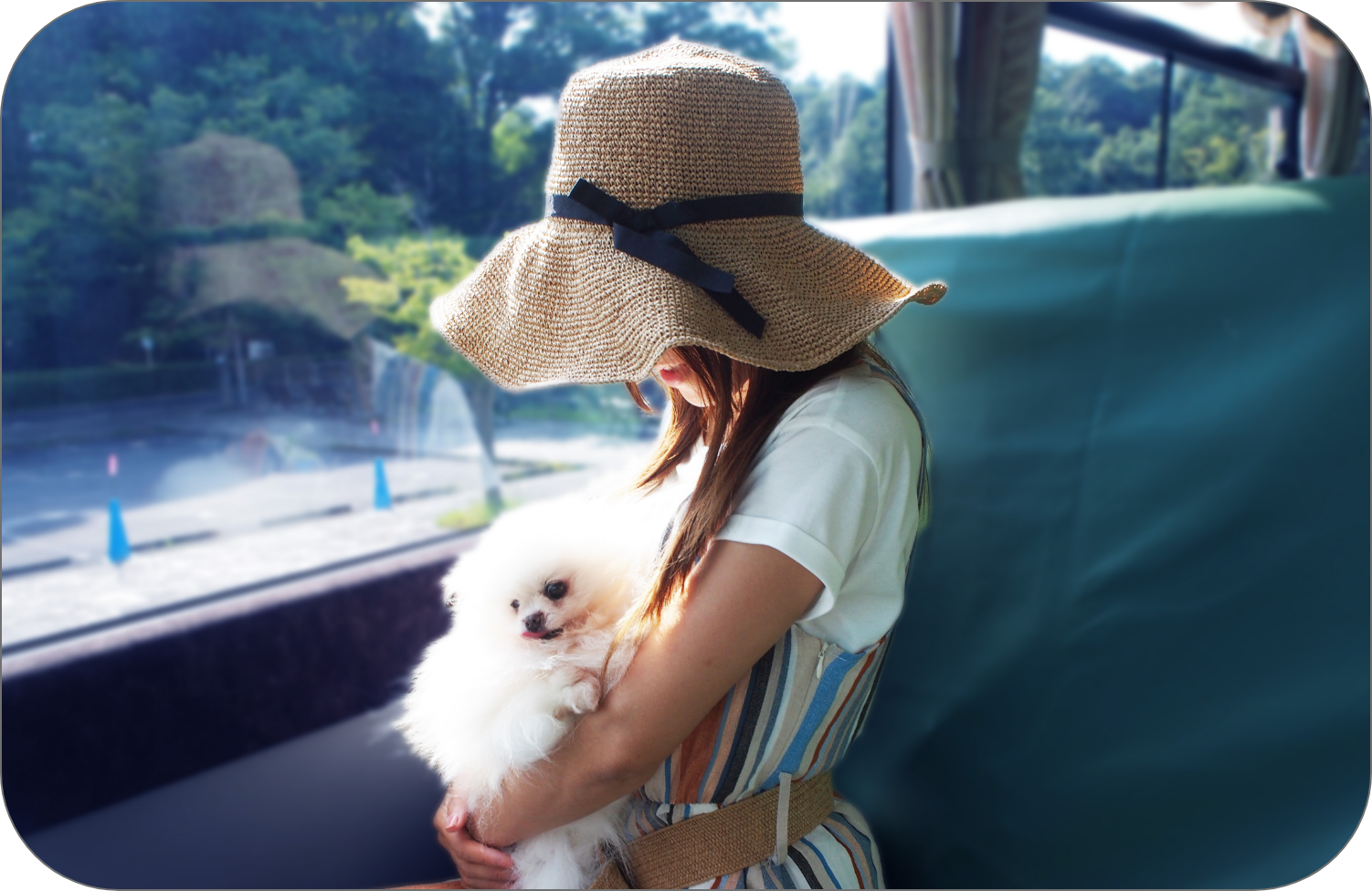 バスに乗っている女性と犬